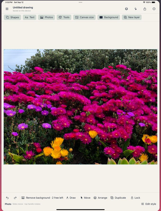 Real DoodleFam iPad editor with a bright flower photo on the canvas
